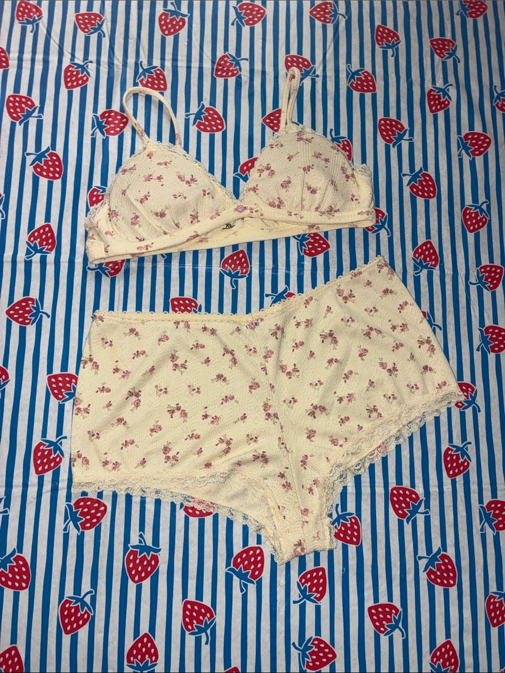 Aeropostale Cream Floral Lace Bralette Set with Pink Flower Print